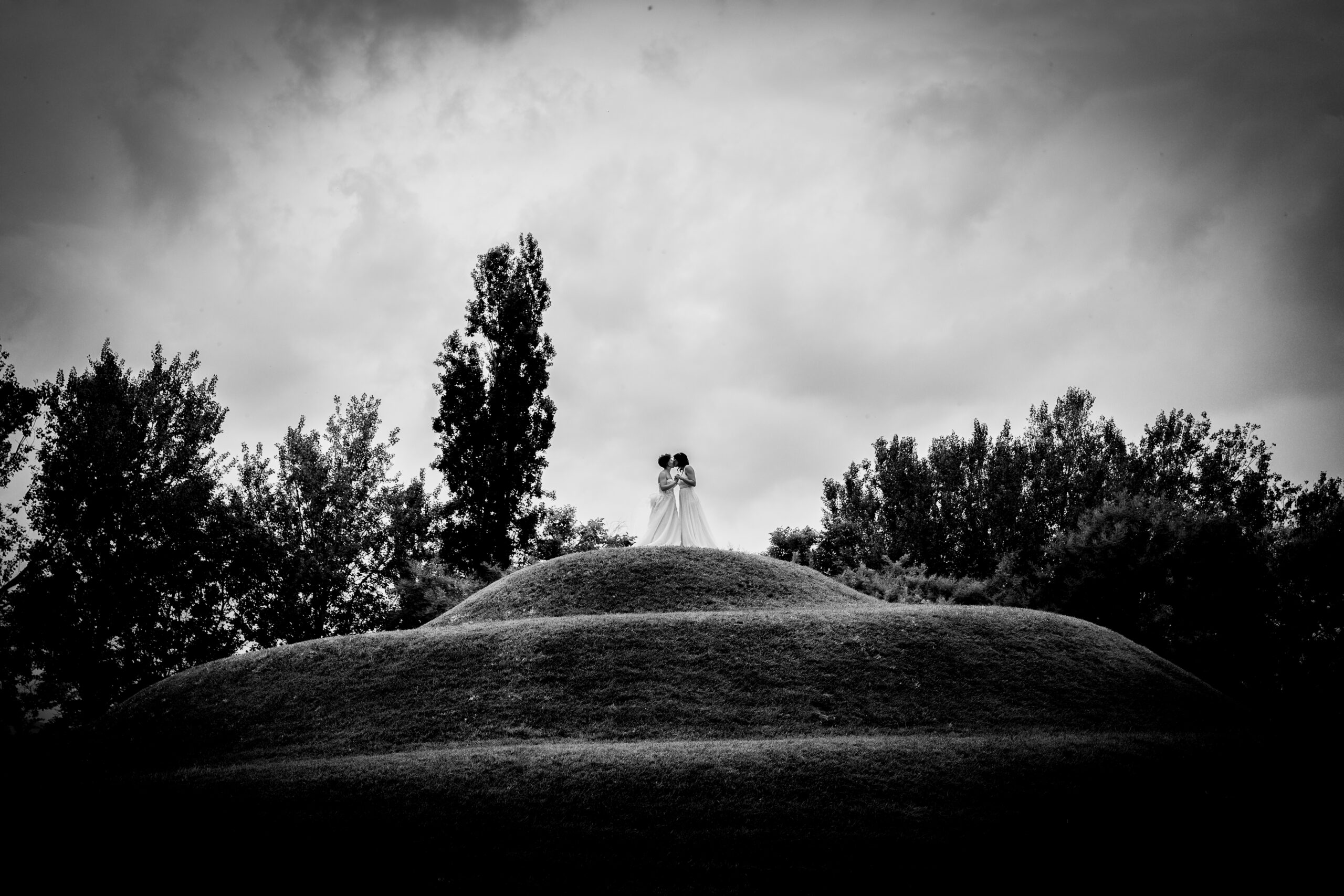 mf14524 edit 2