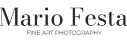 cropped wordmark sito.png